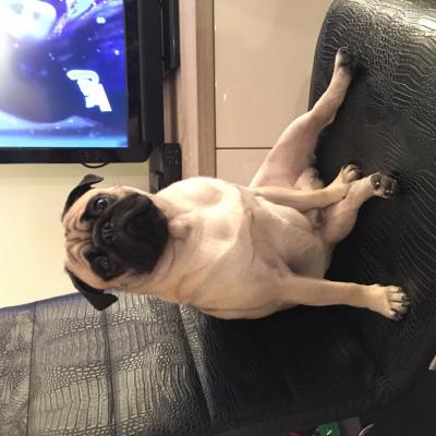 Lipton mode détente