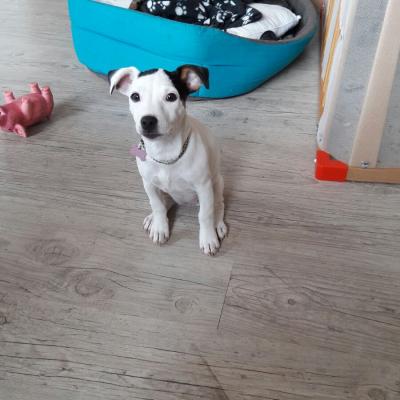 Mia noire et blanche